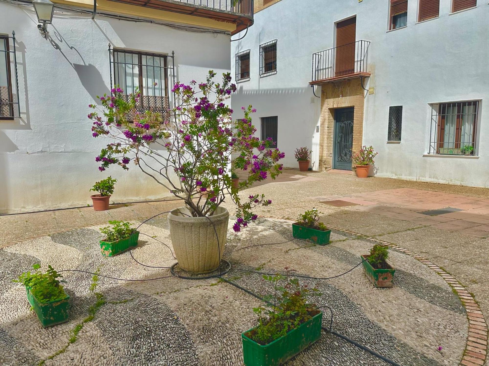 Orive House * Cordoba